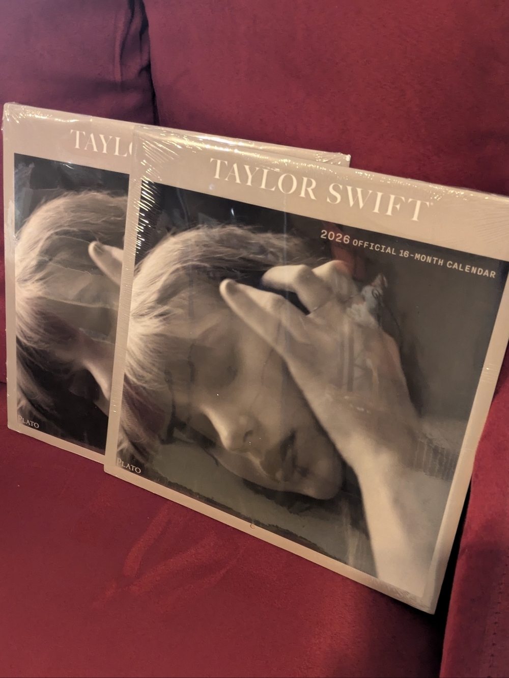 Taylor Swift 2026 Calendar  (16 Months)